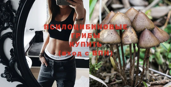 марки nbome Нефтекумск