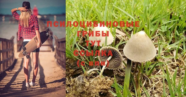 ALPHA PVP Нефтегорск